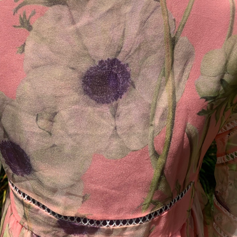 Cynthia Rowley Poppy Organza Peach Dress - Picture 13 of 15